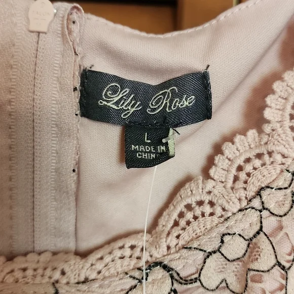 NWT Lily Rose Blush Color Lace Dress SZ L - Picture 3 of 5
